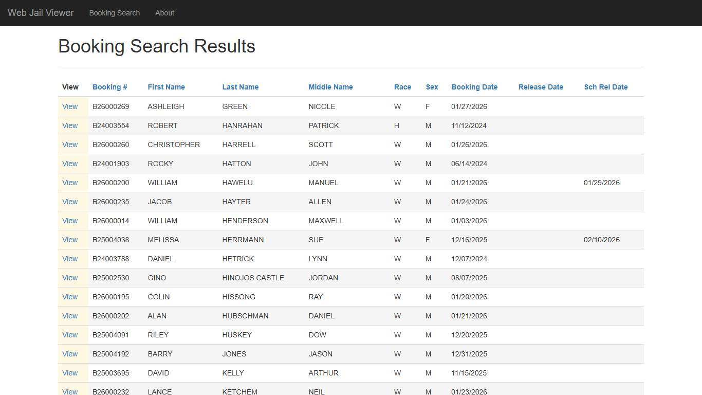 BookingSearchDetail - Web Jail Viewer