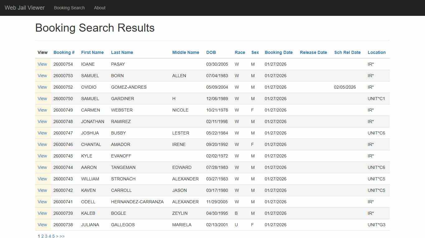 BookingSearchDetail - Web Jail Viewer